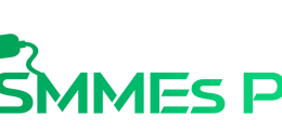 Smmeplug1